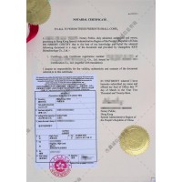 资产负债表吉尔吉斯坦Apostille海牙认证（非州）-翻译