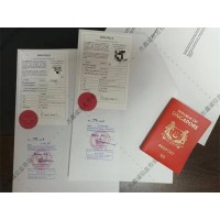 海牙Apostille公约认证法国-Apostille公约认证（印章）-单证